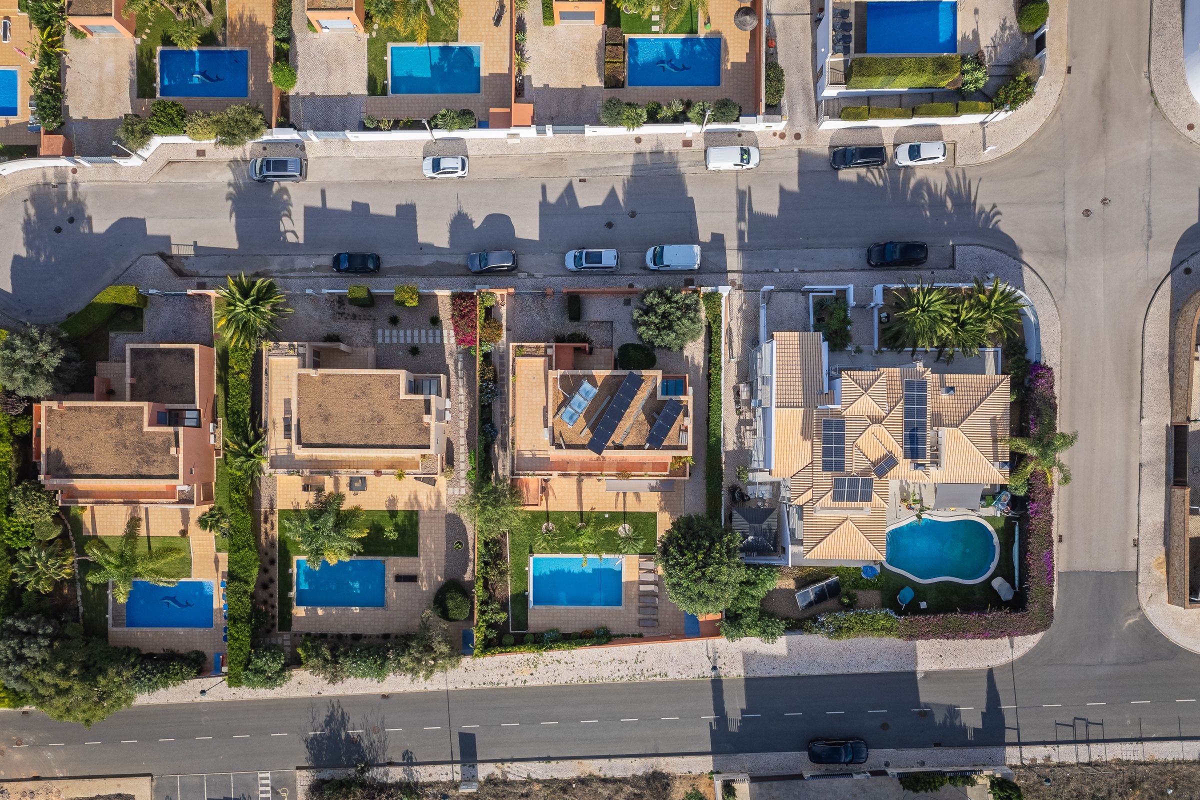 Vista aérea de uma rua de moradias com piscina, entre jardins e palmeiras